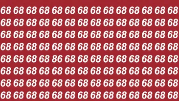 Test de inteligență | Numai cei cu ochi de vultur văd unde se ascunde numărul '86' în doar 9 secunde!