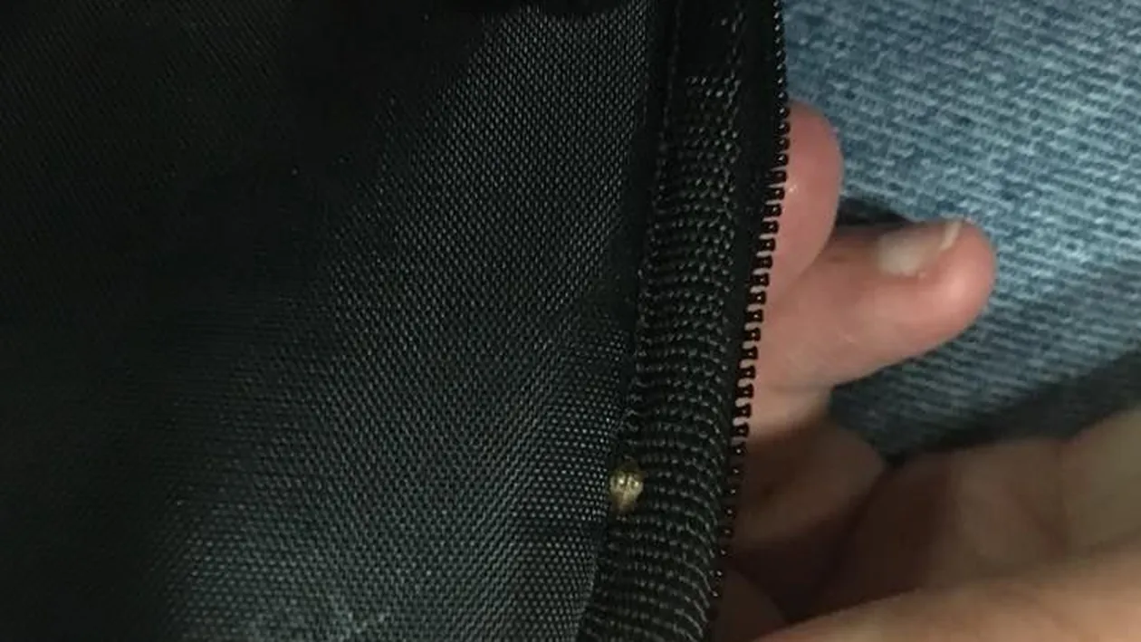 O studentă din Iași s-a trezit cu bagajele infestate de ploșnițe, într-un tren al CFR!