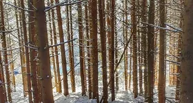 Galerie foto - poza 3