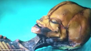 E.T exista! Are 15 centimetri, iar pozele cu el fac ravagii pe internet!