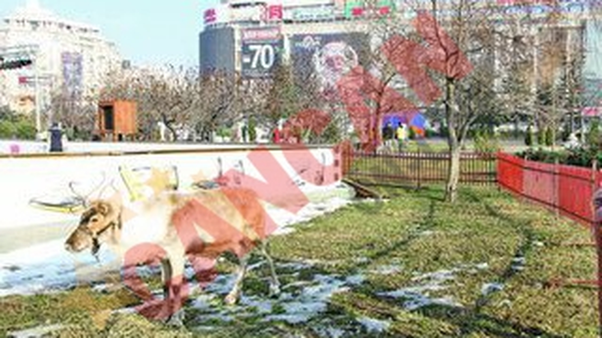 Renii Mosului pasc in fata magazinului Unirea