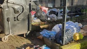 Revoltător! Fapta ciudată a unor români din Germania, care a stârnit controverse în rândul vecinilor. "Au tranșat un porc afară, la 30 de grade"