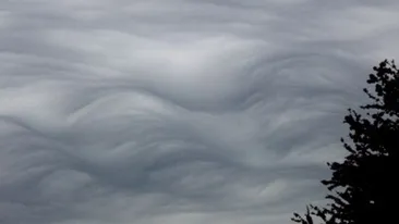 METEO 1 FEBRUARIE: Cerul va fi mai mult noros si in special ziua vor fi precipitatii