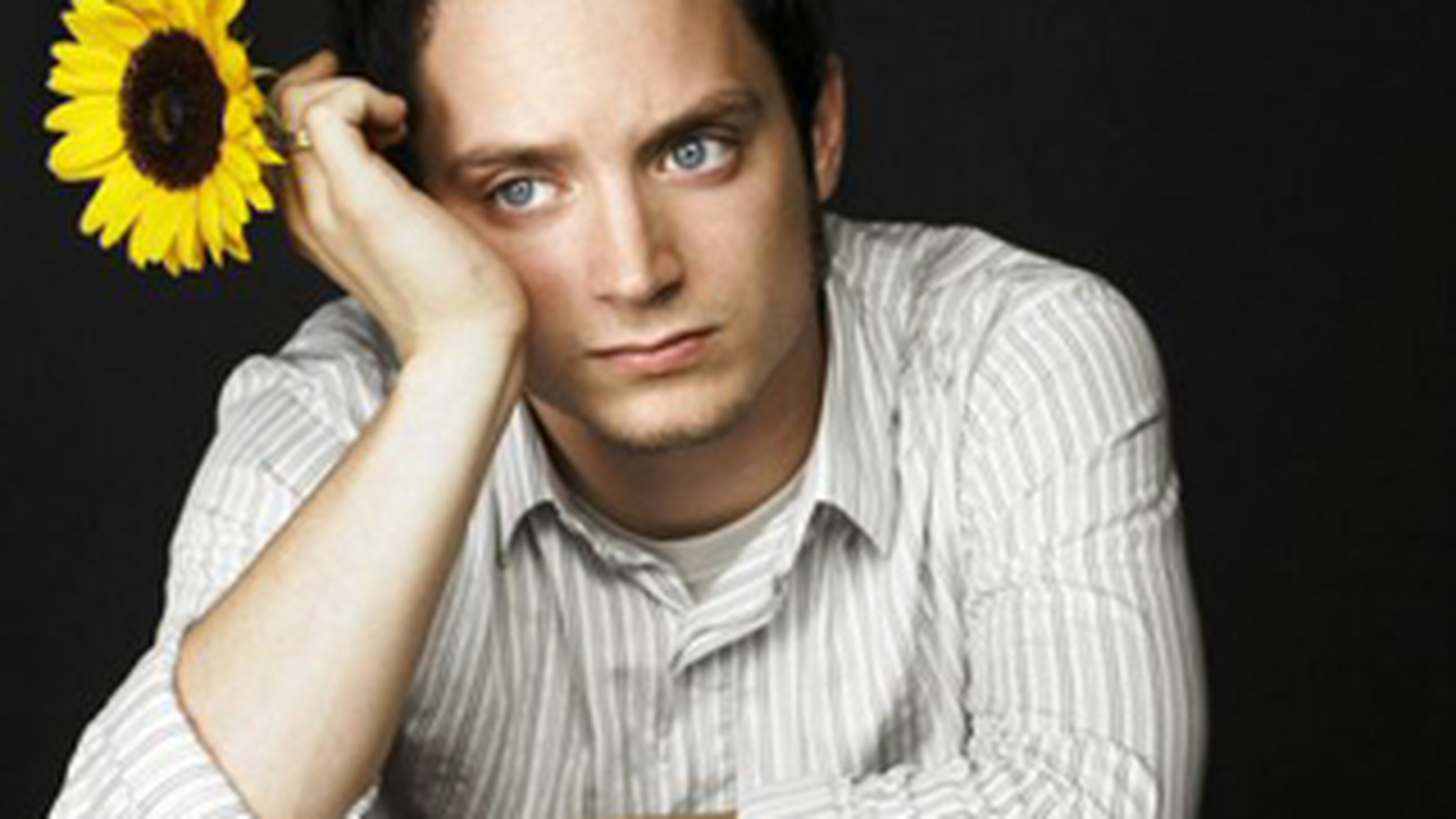 Elijah Wood, actorul din "Stapanul Inelelor", este pentru legalizarea marijuanei!