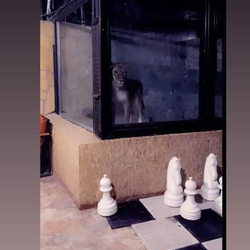 Imagine Galerie #2