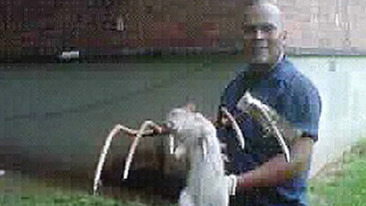 Un american s-a luptat cu un sobolan de un metru