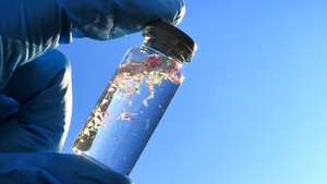 Alimentul extrem de popular care elimină microplasticele din organism