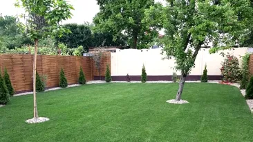 Amendă 100.000 lei dacă faci asta în propria curte. Cum poți intra în legalitate