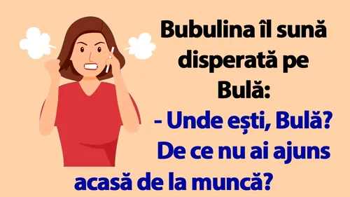 BANC | Bubulina îl sună disperată pe Bulă