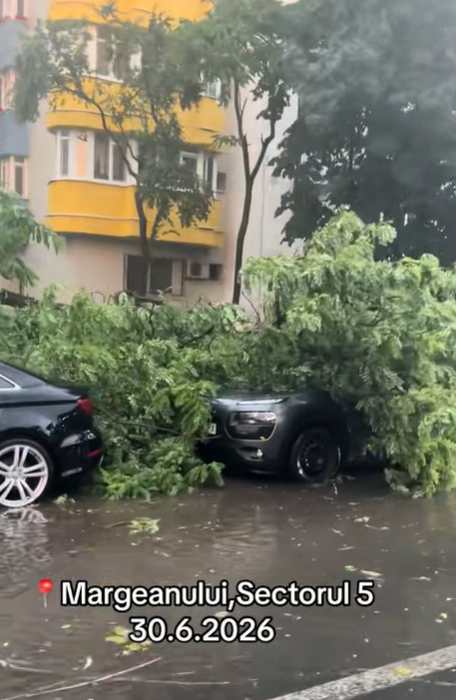 Urmările furtunii din București. Străzi blocate, copaci rupți și stații de metrou închise