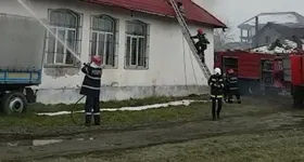 Galerie foto - poza 3