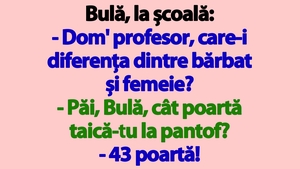 BANC | Bulă, la școală: "Dom' profesor, care-i diferența dintre bărbat și femeie?"