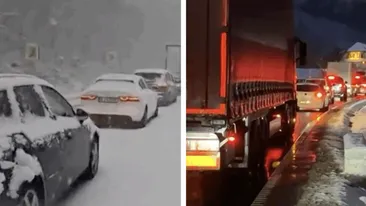 Haos pe Valea Oltului! Zeci de mașini au fost blocate din cauza ninsorii