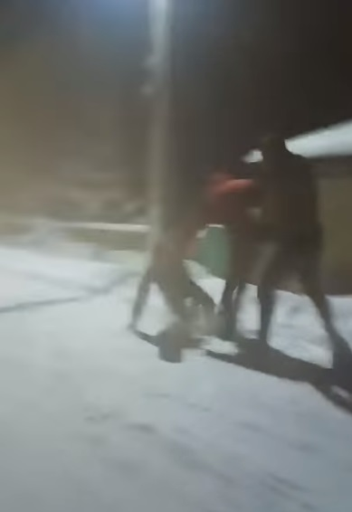 Un copil din Botoșani a fost bătut cu bestialitate de doi tineri. E fabulos ce a spus un internaut despre martorul care a filmat scenele