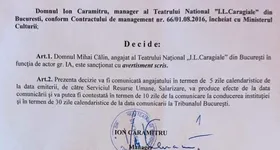 Galerie foto - poza 2