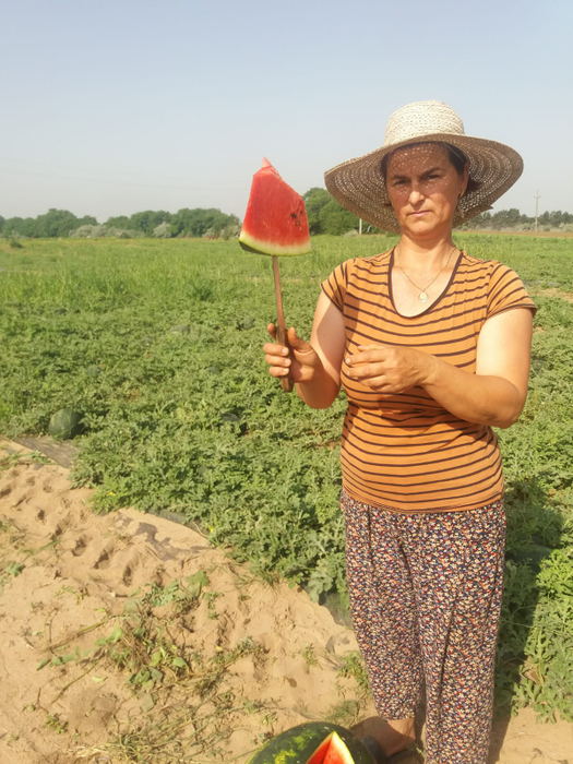 Producătorii din Dăbuleni își laudă marfa la fața locului