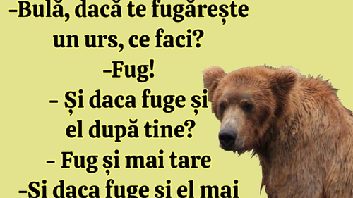 BANC | "Bulă, dacă te fugărește un urs, ce faci?"