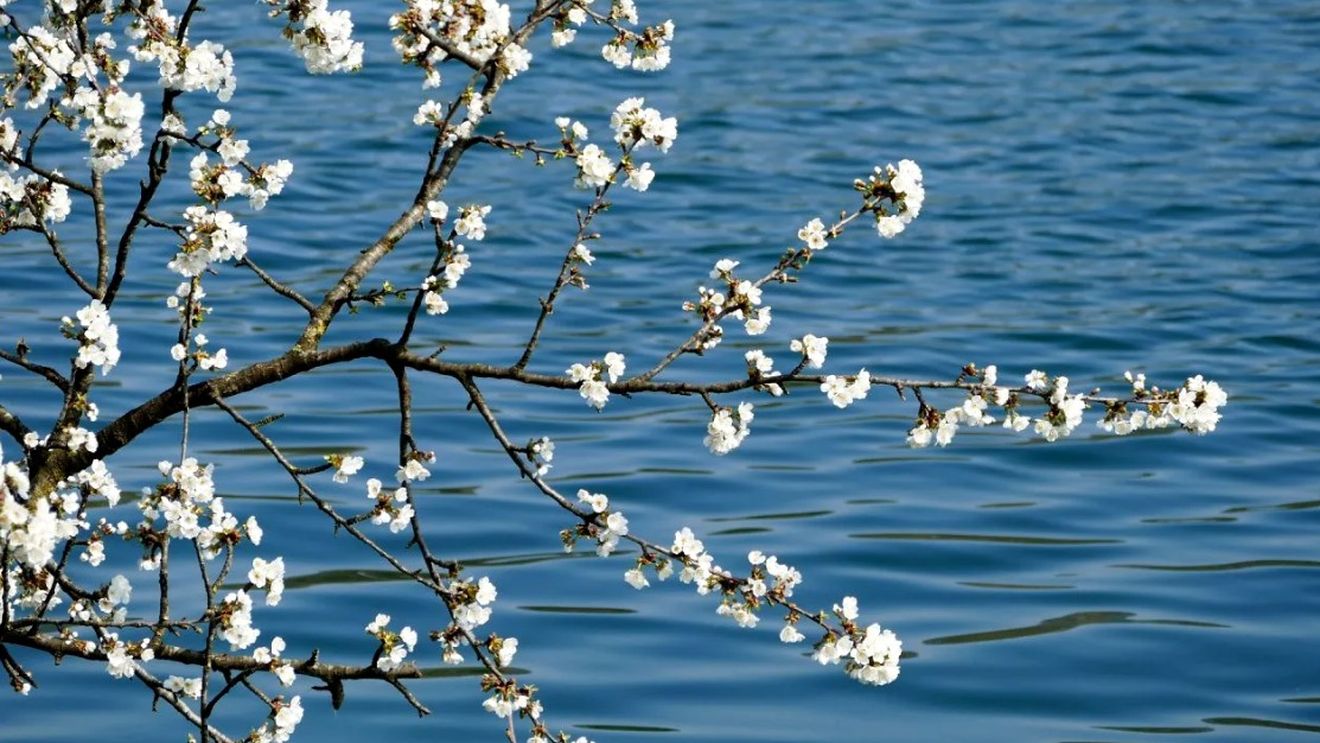 Prognoza meteo azi, 15 martie 2026: Sudul României, cea mai caldă regiune cu până la 14°C