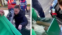 Revedere emoționantă după explozia din Rahova! Cum arată pisica salvată din catastrofă. A fost reunită cu familia ei