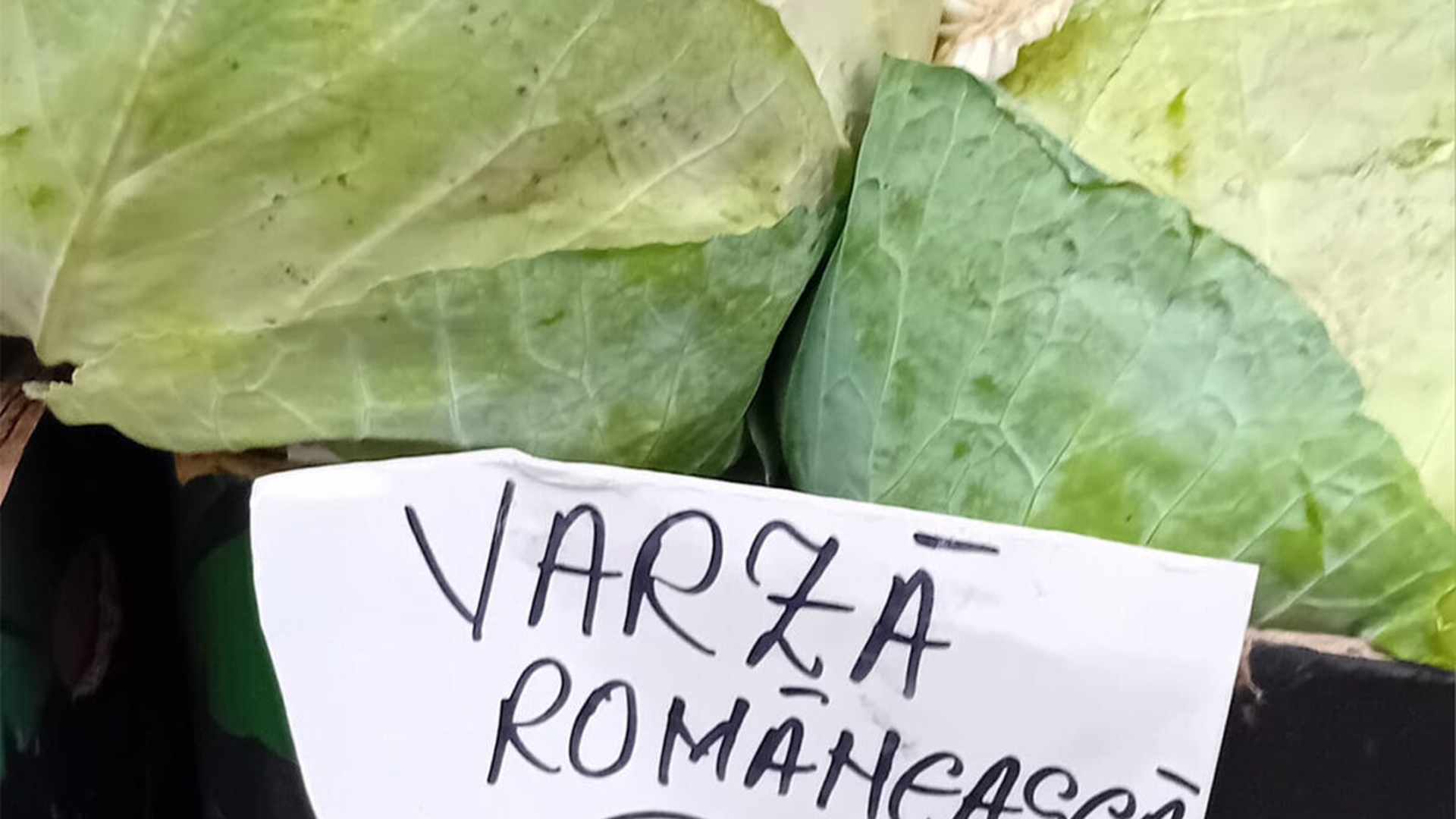 "Samsarii din piețe au ridicat prețul" Cu câți lei se vinde 1 kg de varză românească, acum, la sfârșit de noiembrie