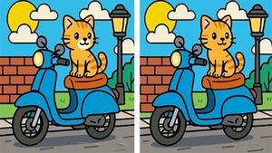 Test de logică | Puteți identifica toate cele 3 diferențe în cel mult 27 de secunde?