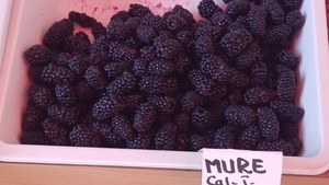 Mure, la preț de caviar! Cât costă 1 kilogram + reacția Asociației pentru Protecția Consumatorilor din România