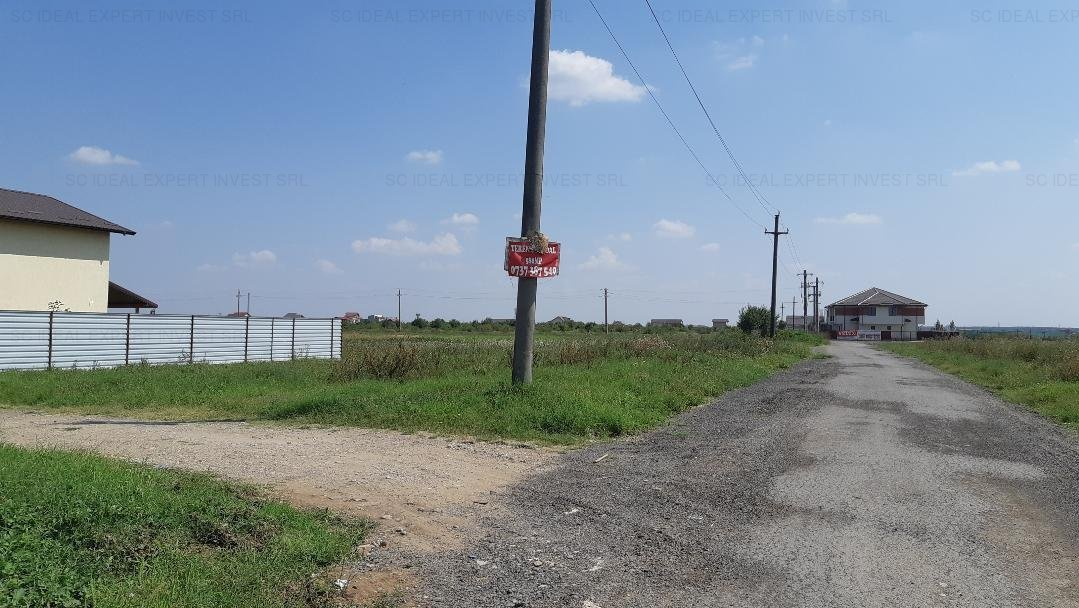 Strada Celofibrei, Bragadiru, locul unde  Mihai Obadă a fost atacant de câinii lui Paul Lazăr