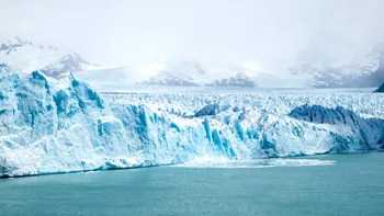 Creaturile care trăiesc și 11.000 de ani. Sunt foarte bizare și locuiesc în Antarctica