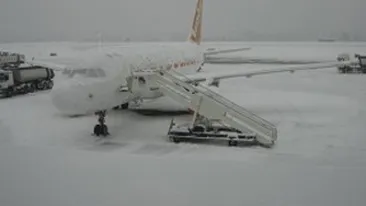 Mai multe curse de pe Otopeni si Baneasa au fost anulate!