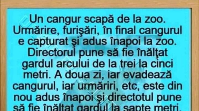 BANCUL ZILEI | Un cangur scapă de la zoo