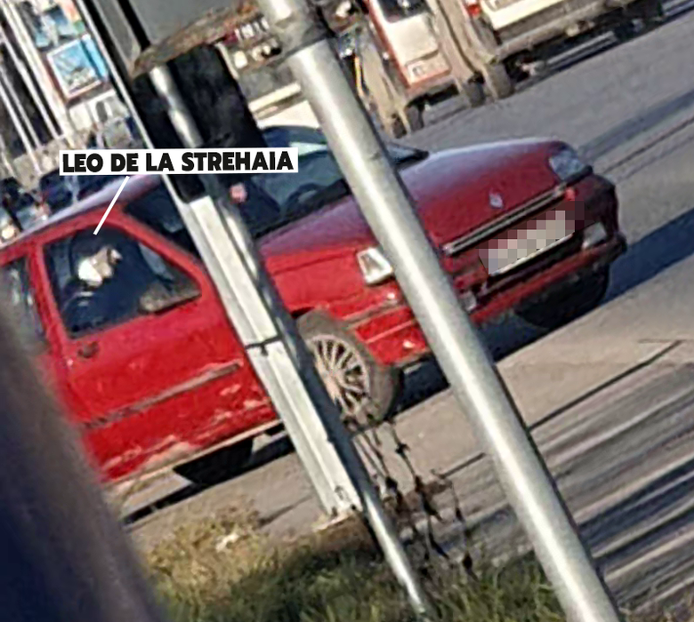 Leo de la Strehaia a dat limuzinele pe un autoturism vechi