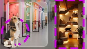 Cât costă să îți lași animalul de companie la un hotel pentru câini și pisici? Ce prețuri sunt de Crăciun și Revelion