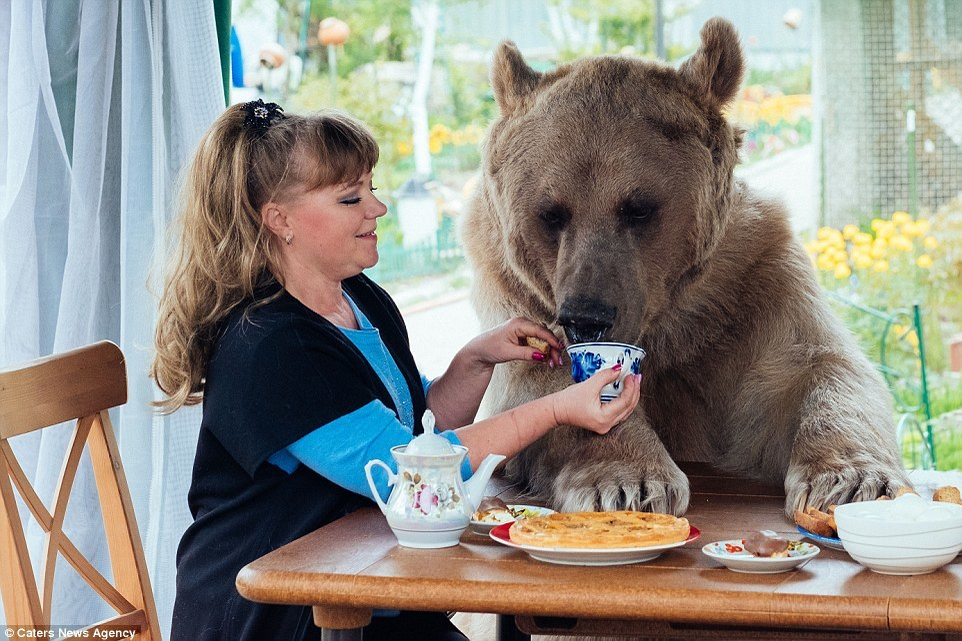 Un cuplu din Rusia locuieşte c-un urs! FOTO incredibile cu STEPAN, ursul care stă cu ei până şi la masă