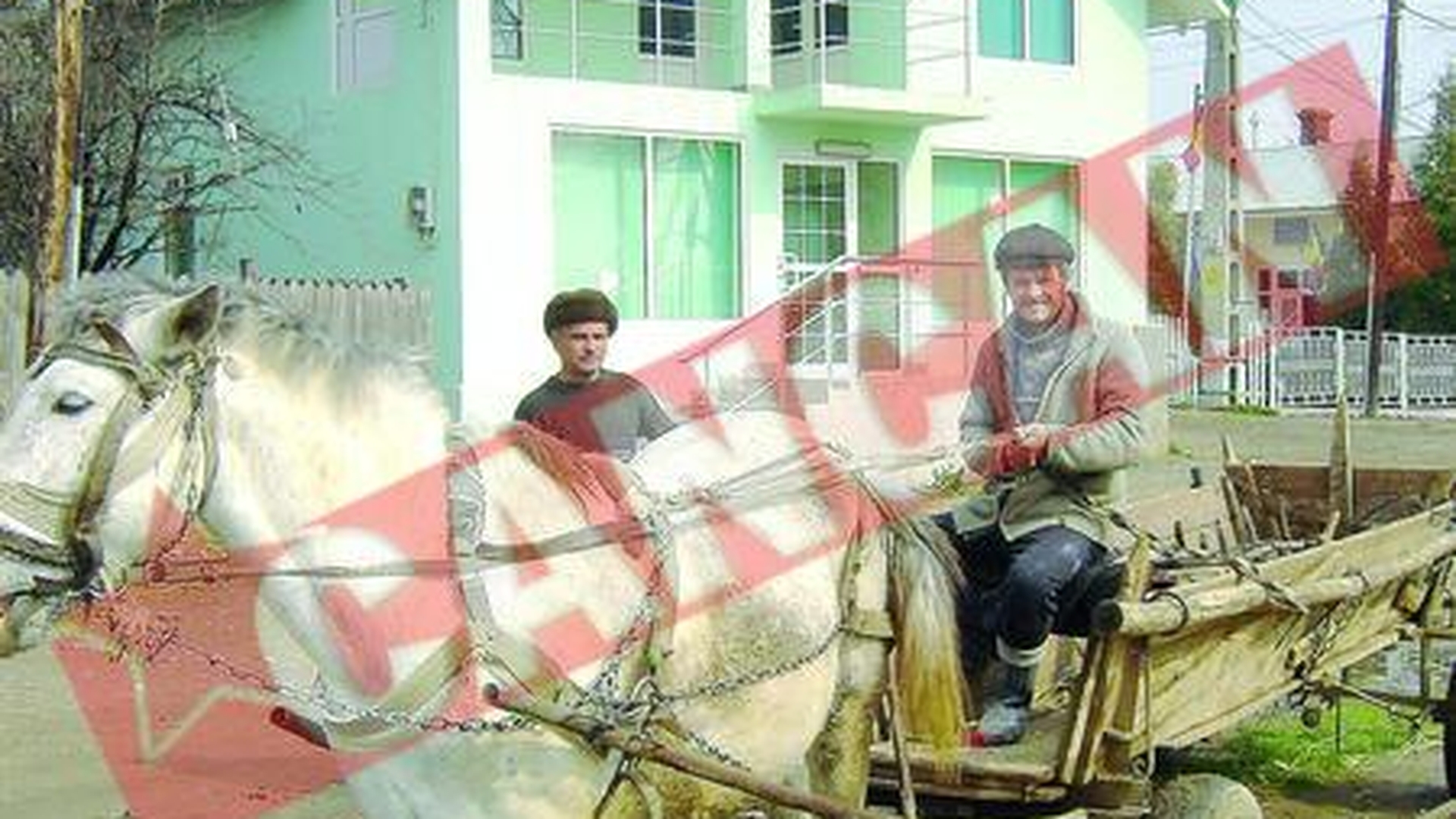Vila notaritei Ioana Basescu, mobilata In miez de noapte