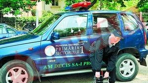 Ei vor vana cainii de pe strazi