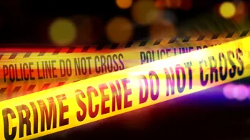 Vedeta TV a murit într-un accident rutier cumplit, la doar 33 de ani. A fost lovită de două mașini, în timp ce traversa pe trecerea de pietoni