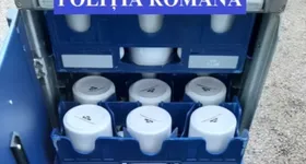 Galerie foto - poza 1