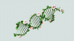 Cât din durata vieții este determinată de gene? Un nou studiu schimbă perspectiva