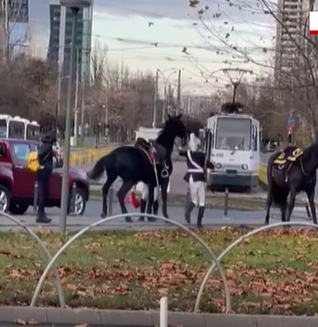 Jandarmul care a căzut de pe cal, la parada de 1 Decembrie, a consumat băuturi alcoolice. Este cercetat de Parchetul Militar