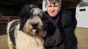 Mărturisiri halucinante despre ”MINUNILE” lui Cristian Pomohaci! Ce se întâmpla la slujbele preotului acuzat de corupere sexuală