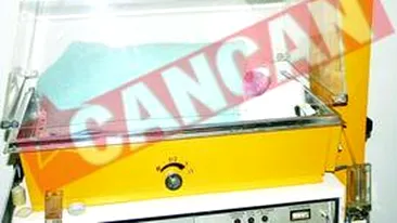 Isi vrea copilul inapoi, dupa ce a incercat sa-l inece in WC