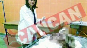 O pustoaica s-a pozat langa un cadavru in putrefactie