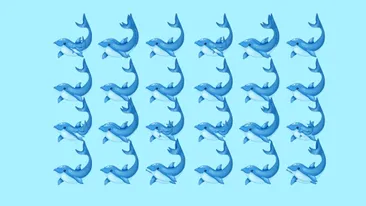 Test IQ exclusiv pentru genii | Câți delfini sunt, de fapt, în această imagine?