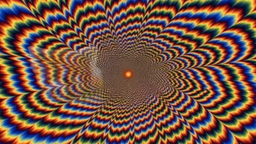 Iluzie optică virală | Numai geniile văd ce animal se ascunde în această imagine, în 5 secunde