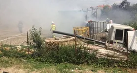 Galerie foto - poza 4