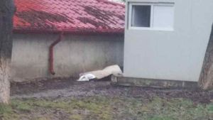 O femeie decedată a zăcut ore bune în curtea Spitalului Județean Botoșani până când cineva a anunțat poliția 