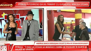 Pumni, picioare şi vănătăi! Bătaie la CANCAN TV: Pitbull a dat, Stoian a încasat şi Bianca a comentat!