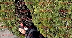 Galerie foto - poza 3