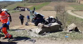 Galerie foto - poza 4