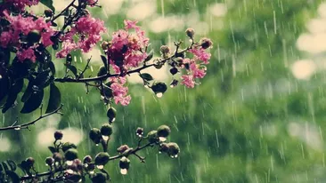 Cât durează ploile de primăvară. Prognoza meteo pe următoarele zile